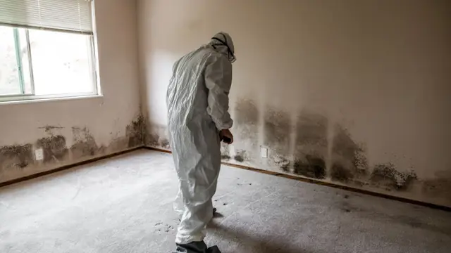 Worker in a protective suit standing in an emptied room with mold staining low on the walls