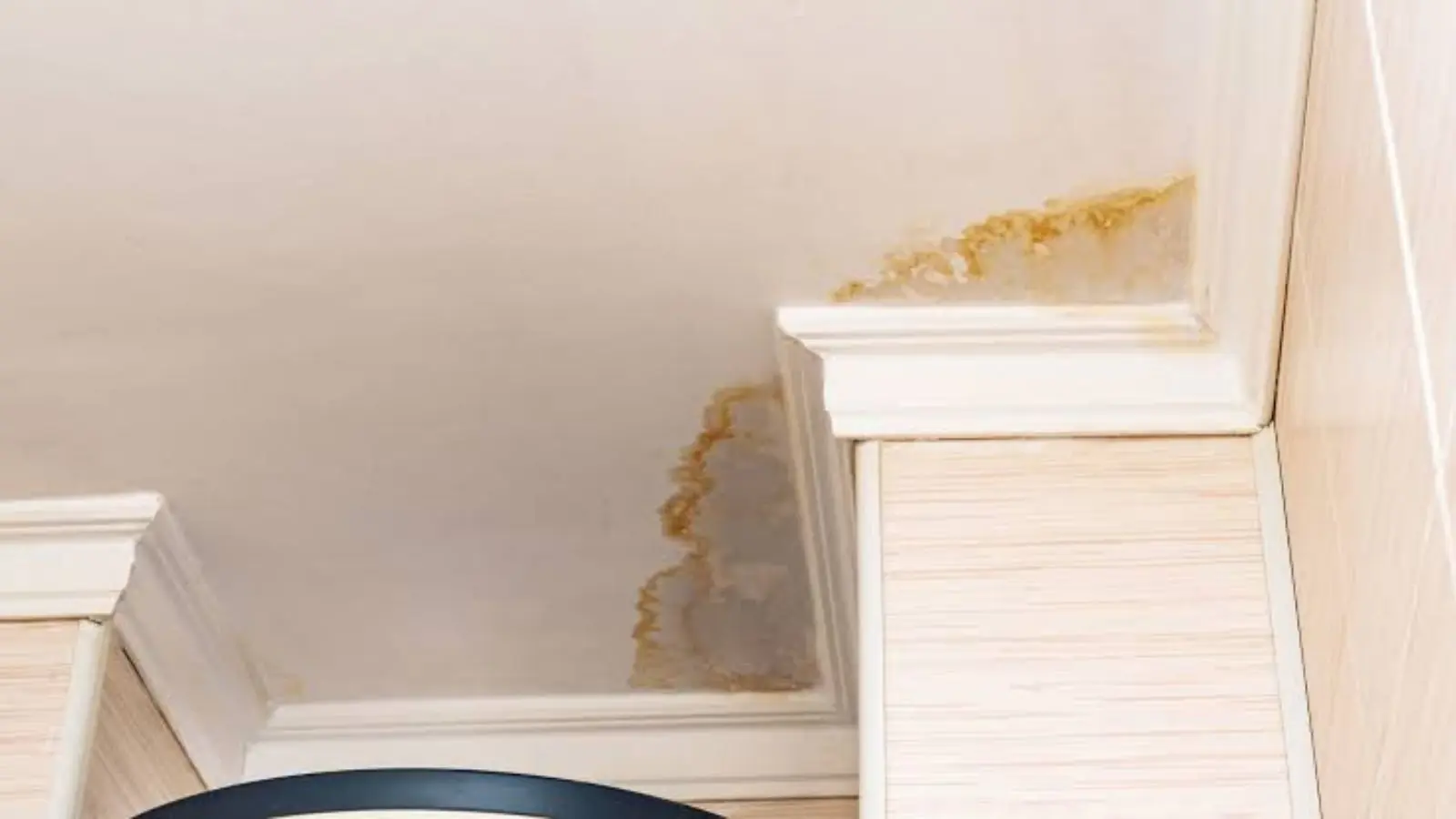 Brown water stain spreading across a ceiling corner above crown molding